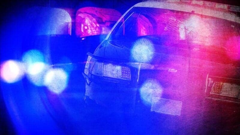 Cottage Grove Wild-Game Meat Plant Owner Charged for Operating Without License