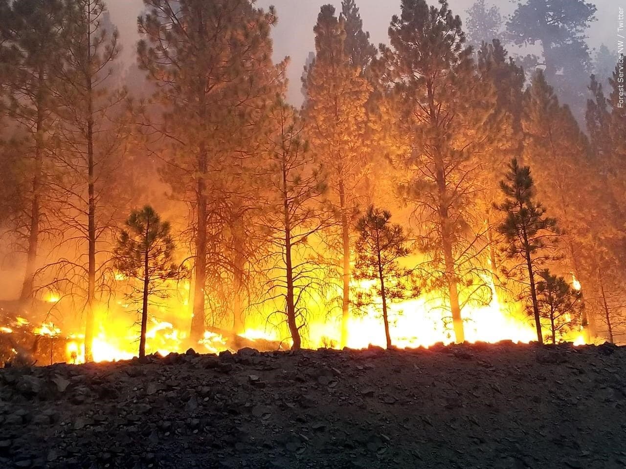 Weyerhaeuser grants boost Lane County rural wildfire response
