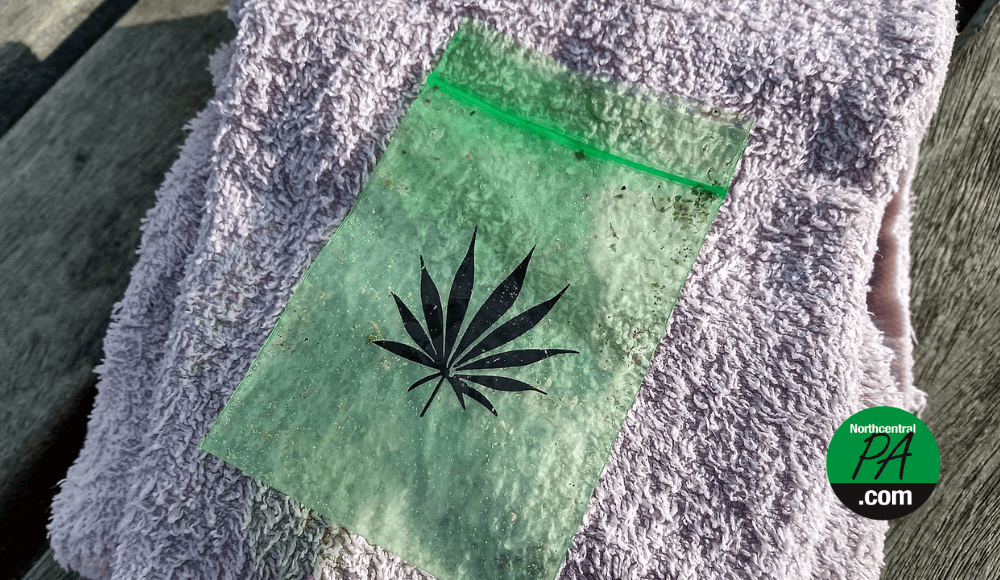 Lewisburg shop owner faces felony drug charges after campus undercover buy