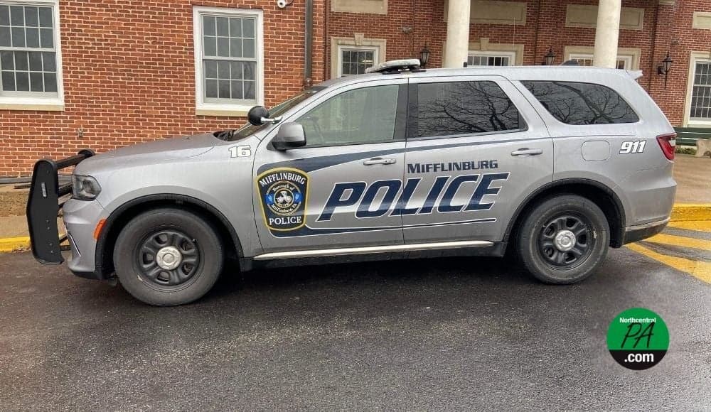 Mifflinburg welfare check leads to child endangerment charges, children removed