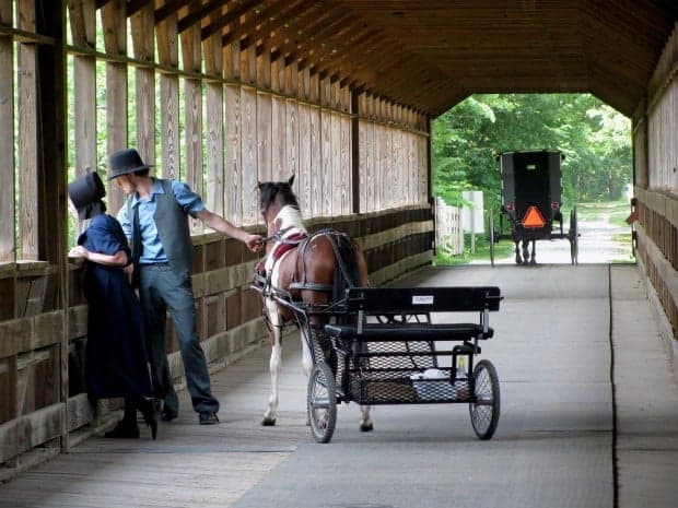 Holmes County Visitor Guide: Amish Country, Trails, and Local Makers