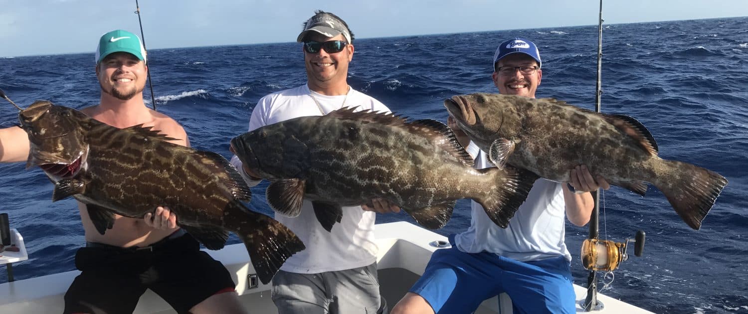 Key Largo Half-Day Yields Blackfin Tuna, Mahi and Snapper Mix