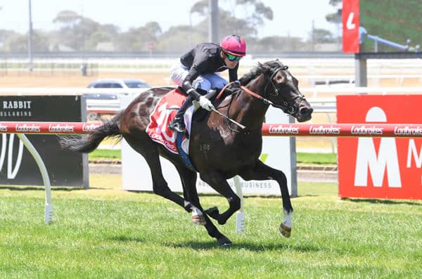 Freedman-trained Veyepee Wins Geelong Debut by Nearly Three Lengths