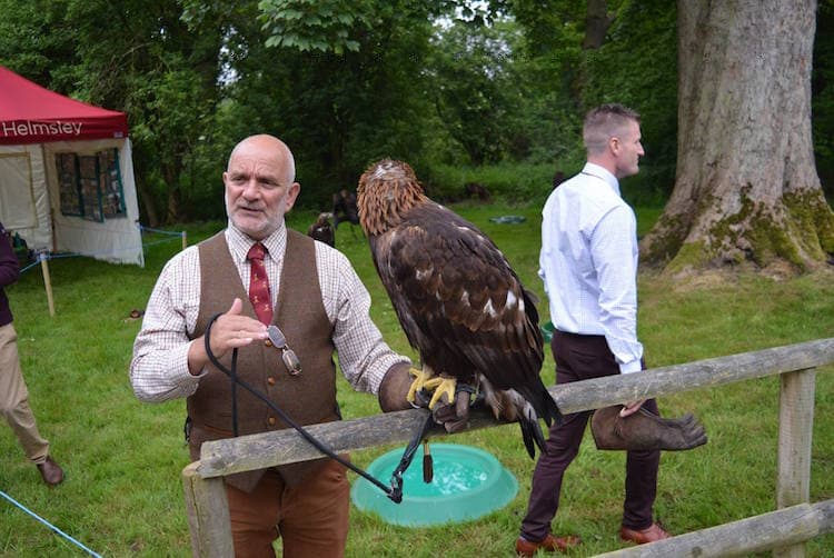 British Falconry Fair 2026 brings trade, training, and raptors together