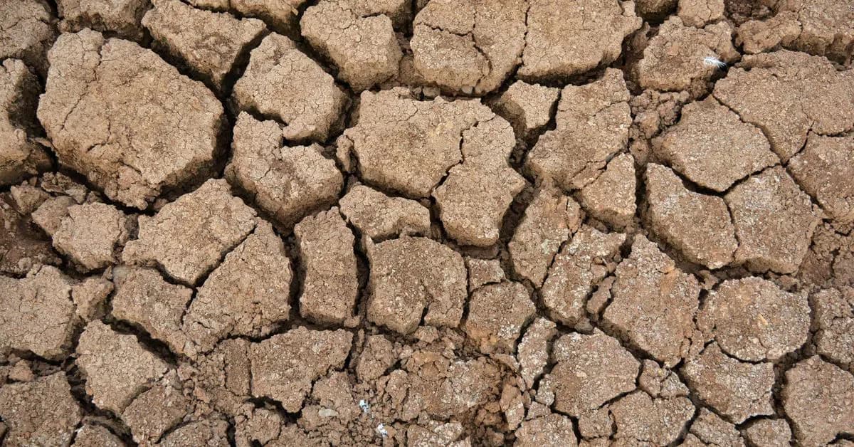 New El Niño forms in Pacific, raising global drought and flood risks