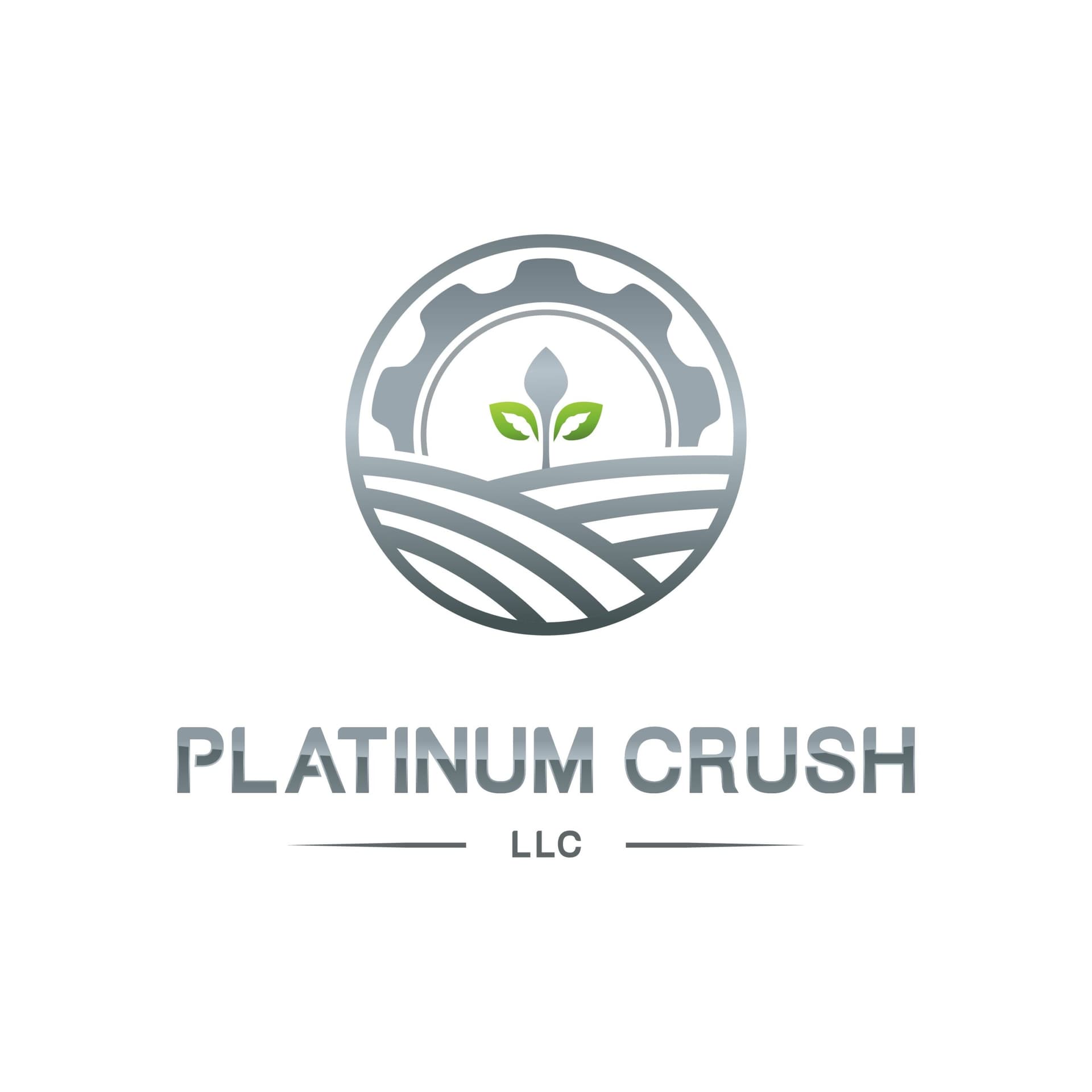 Buena Vista County pauses Platinum Crush road work, funding uncertain