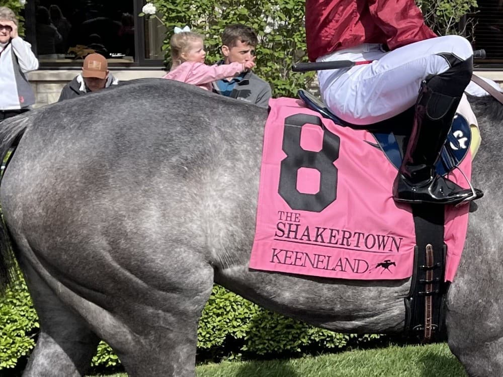 How to Find Turf Sprint Value: Course, Pace and Surface Form