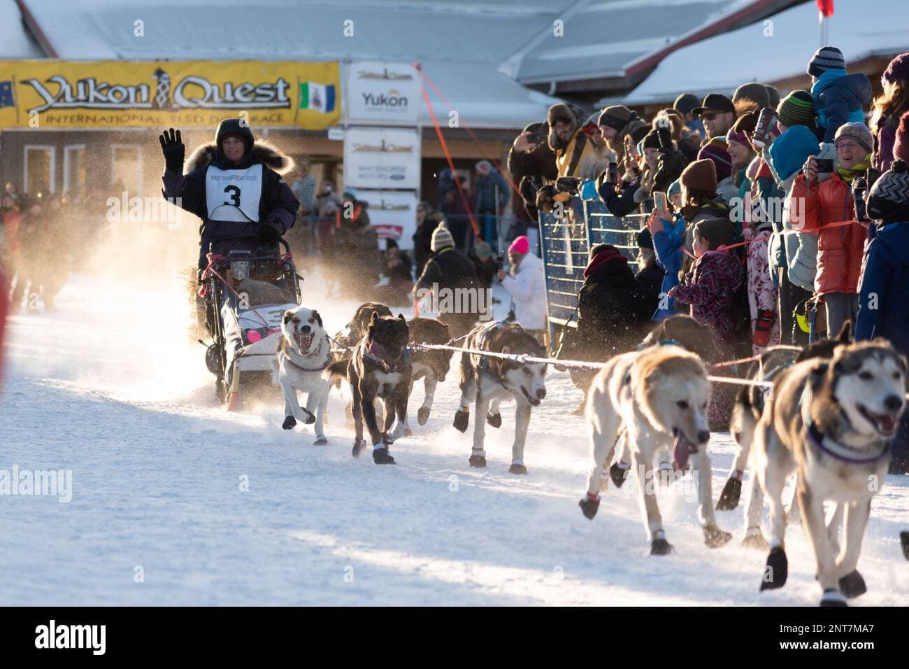 Mushers and Arctic Communities Keep Sled-Dog Racing Thriving Despite 2026 Olympic Exclusion