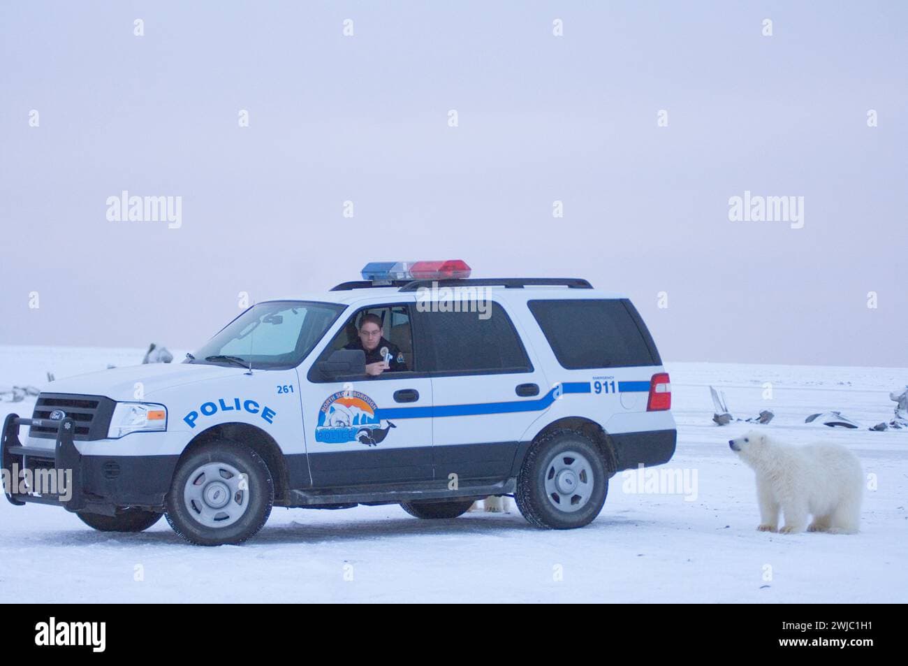 North Slope Bolsters Polar Bear Patrol to Protect Communities