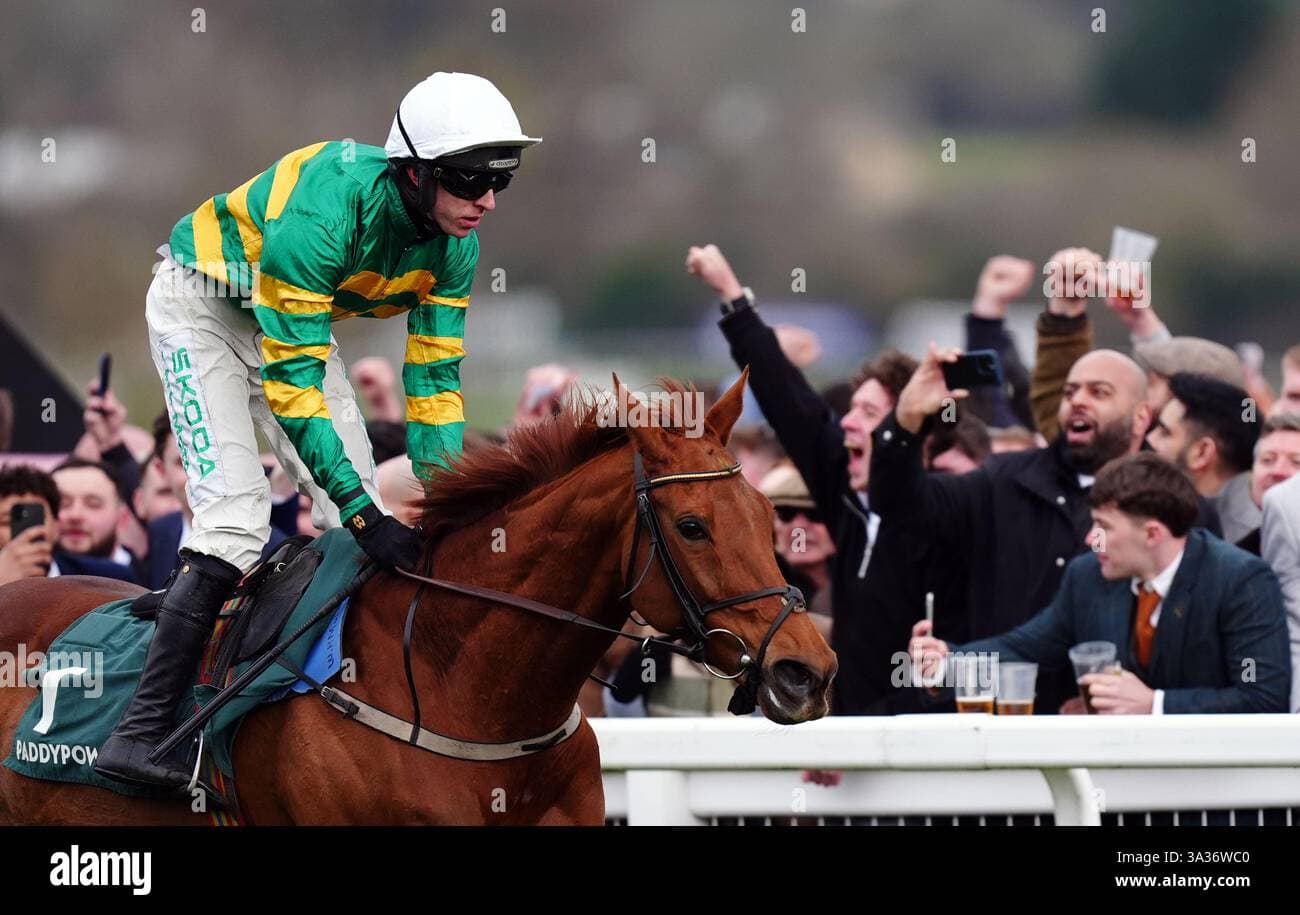 Dinoblue Claims Back-to-Back Mares' Chase Titles at Cheltenham Festival