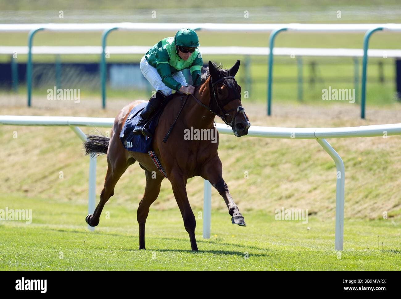 Cameo lands Oaks Trial in style, Romanoic Symphony flops at Lingfield