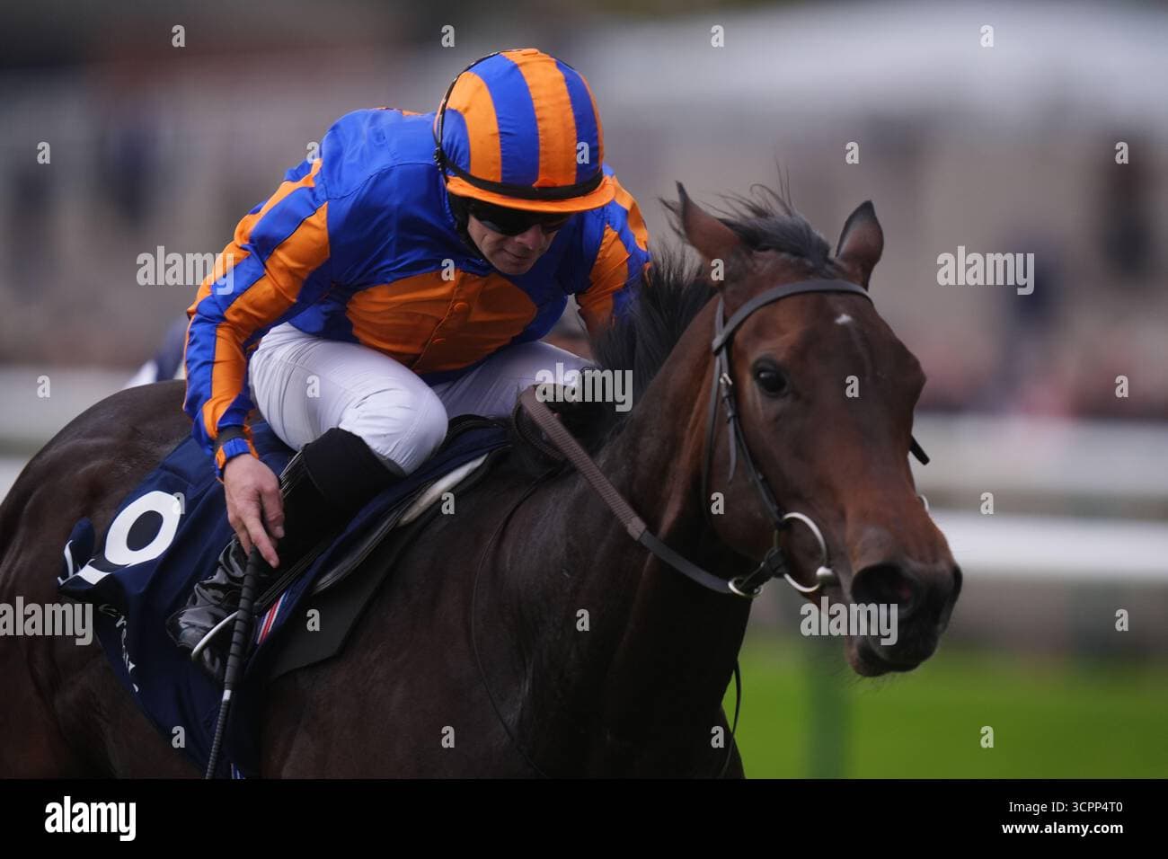 True Love stuns Guineas field, gives O'Brien eighth 1000 Guineas win