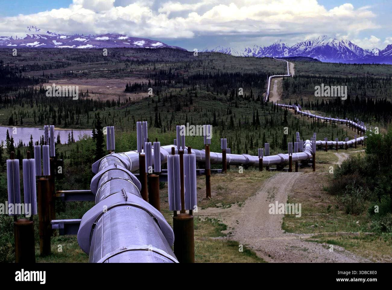 Japan Eyes North Slope Crude as Faster Shipping Beats Middle East Supply