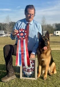 GCHS Kaleef’s Sassicaia German Shepherd Wins Best in Show in Pensacola