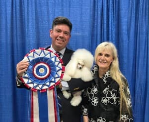 Toy Poodle Takes Best in Show at Cabrillo Kennel Club Sunday