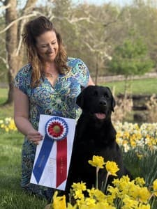 Labrador GCH Paradoc's AK Martin Wins Best in Show in Boonsboro