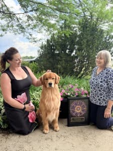 Golden Retriever Club regional crowns top dog in West Bend