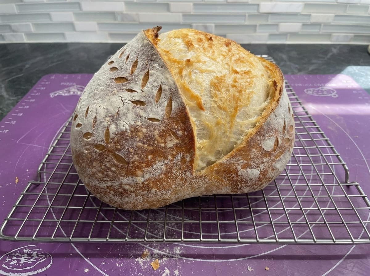 Why 70% hydration makes sourdough lighter and more open