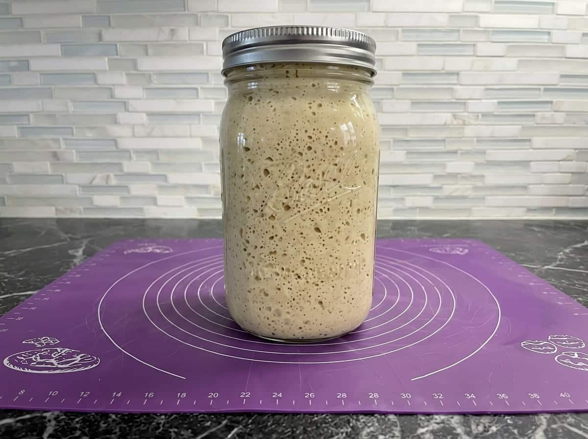 Gluten-free sourdough can rise, bubble, and taste like the real thing