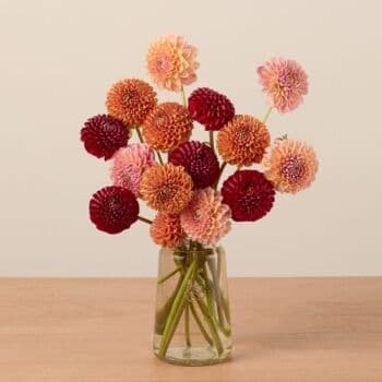 How to choose fair trade flowers for a more mindful gift