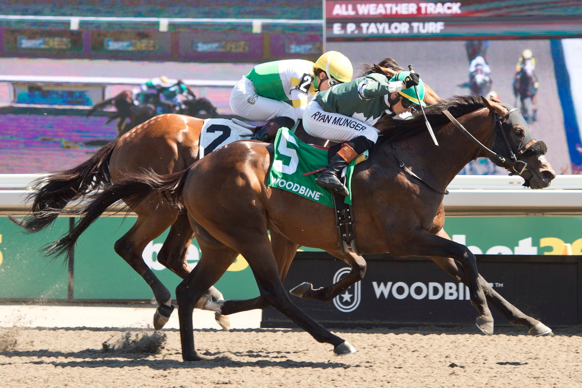 Brachetto shocks Marine Stakes at Woodbine with 18-1 upset