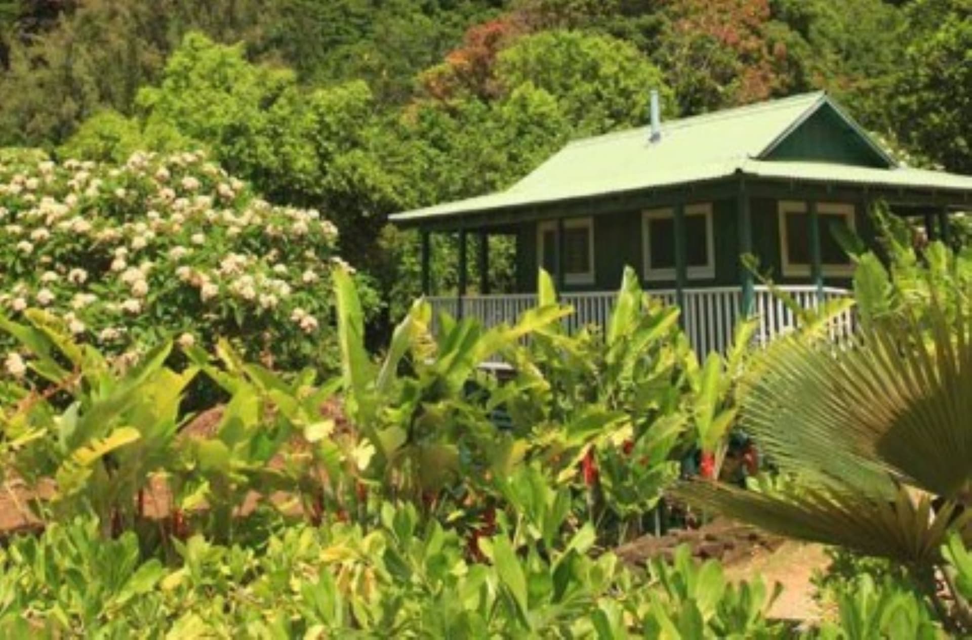 Kona Dome Inspection Stalls as No Trespassing Signs Block County Access