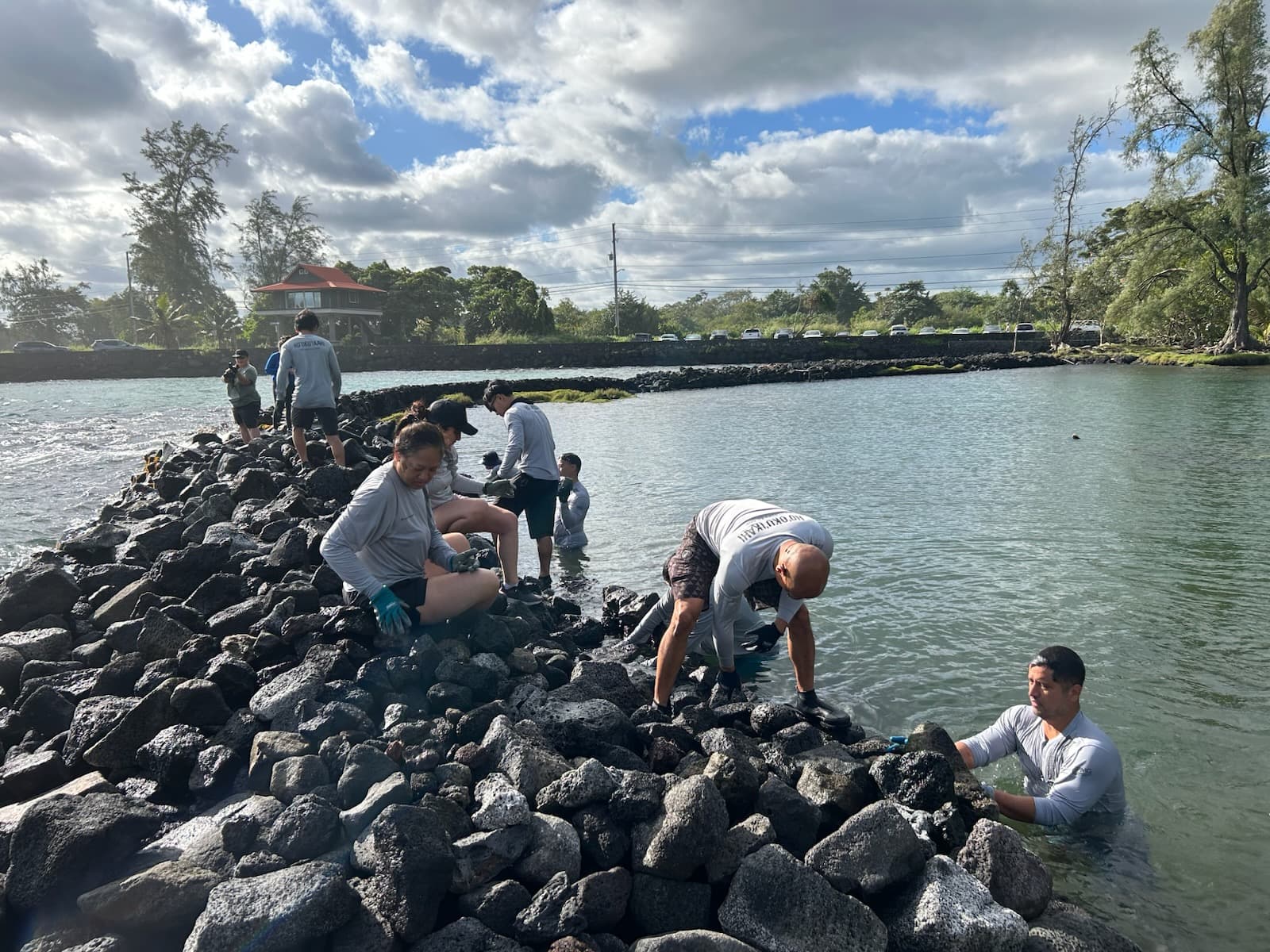 About 100 Kaiser Volunteers Restore Haleolono Fishpond and Pu‘uwa‘awa‘a Forest