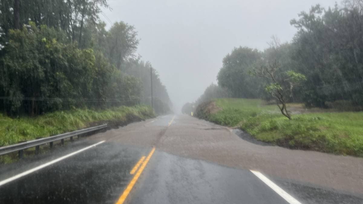 Flooding boosts mosquito populations on Hawaii Island, health officials warn