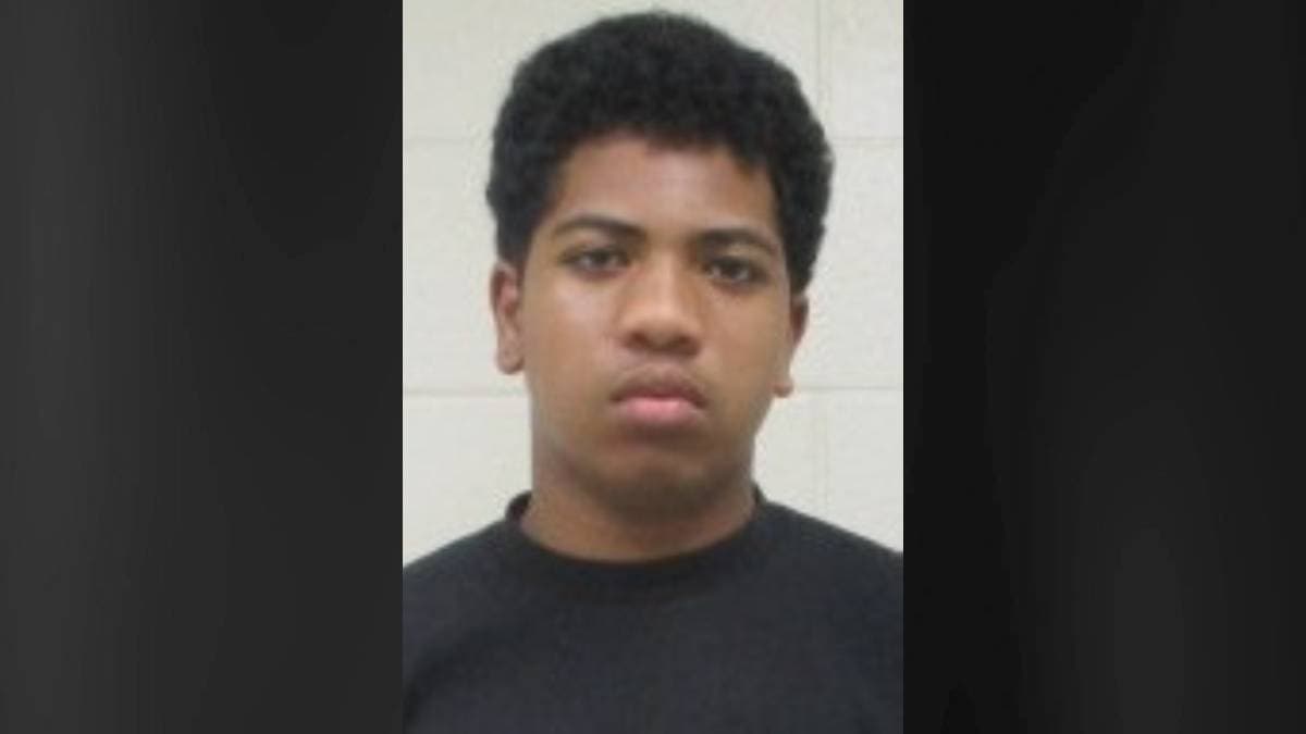 Police seek missing 14-year-old last seen in Fern Acres