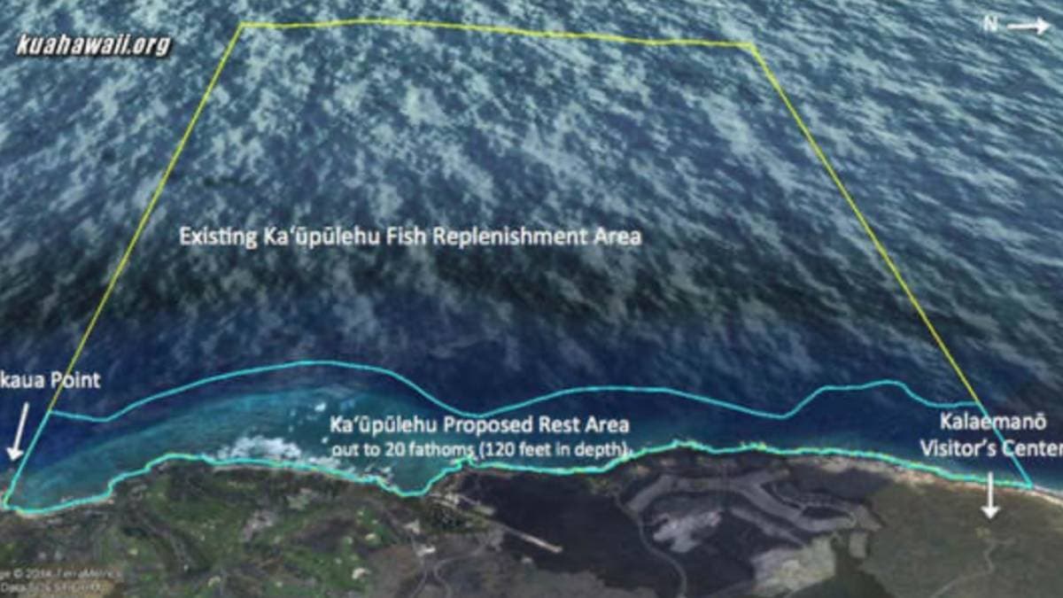 State seeks fines in Kona marine reserve opihi case