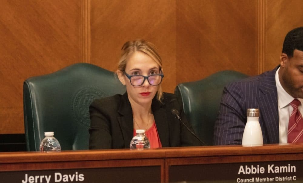 Abbie Kamin tops special Democratic primary for Harris County attorney, advances