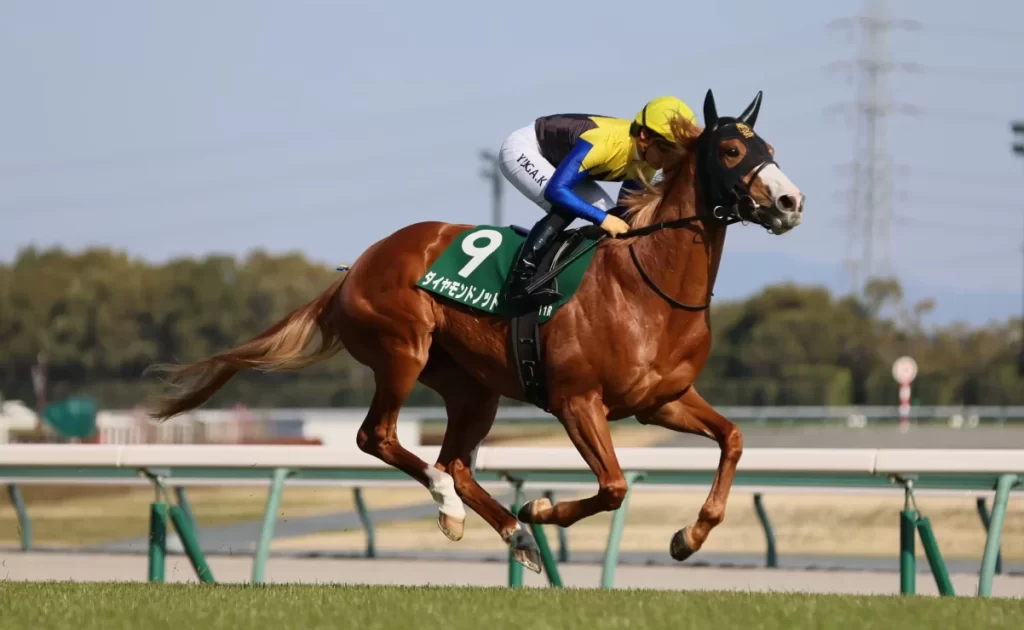 Diamond Knot leads loaded NHK Mile Cup field at Tokyo