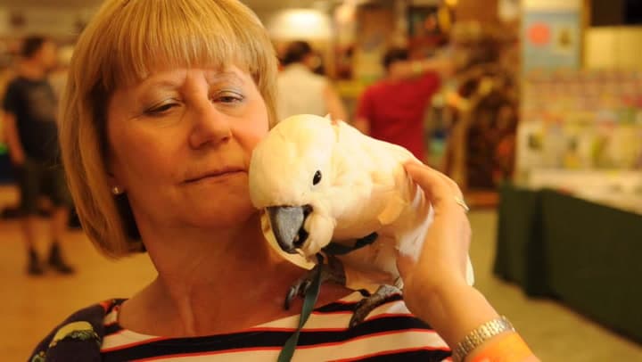 Think Parrots 2026 brings expert parrot care, shopping and community together