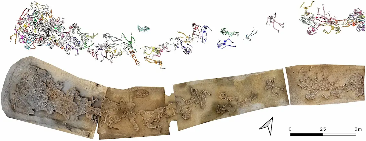 Dozens of headless skeletons found in 7,000-year-old Slovakian ditch