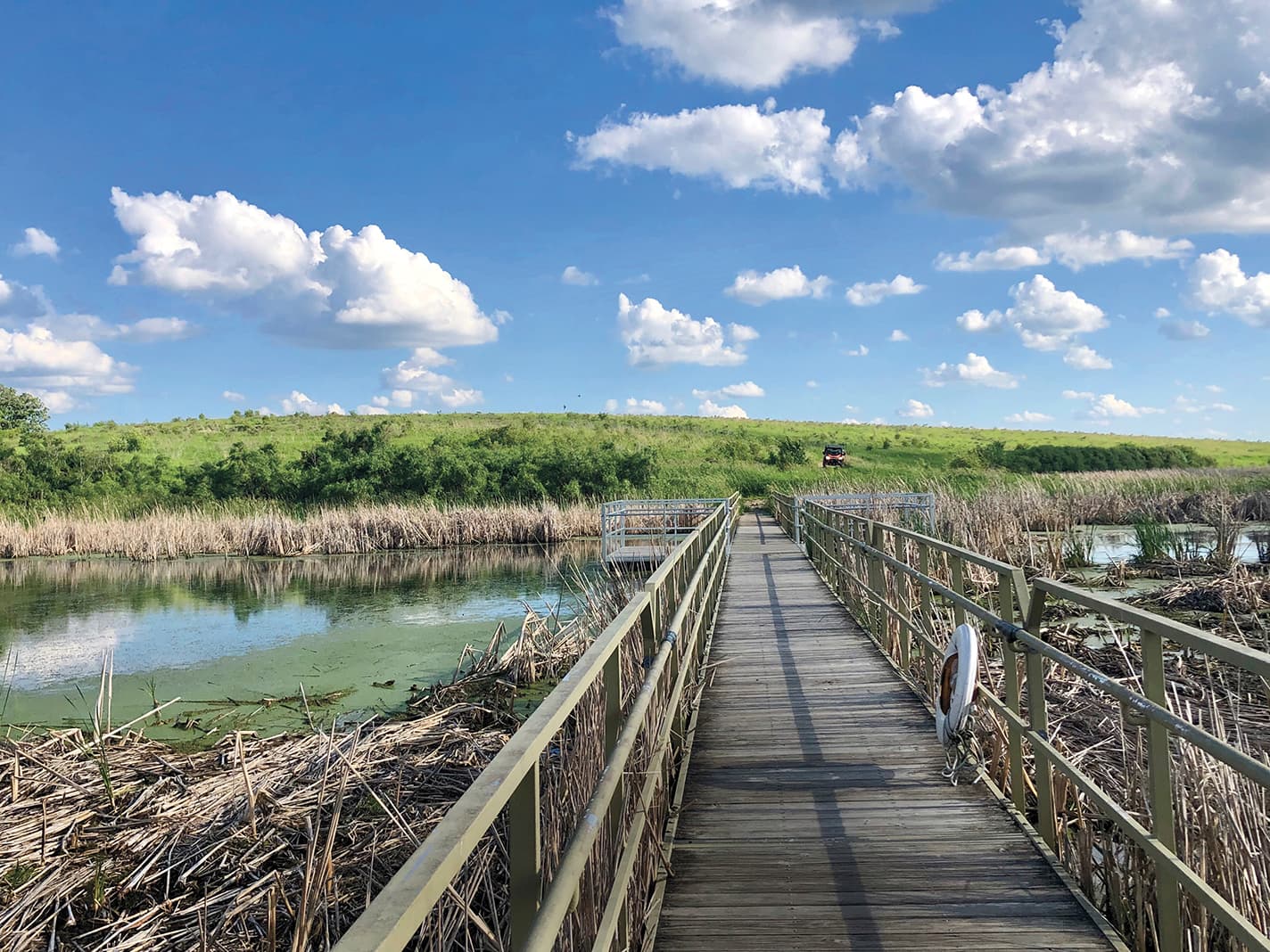 Five Must-Visit Year-Round Attractions Across Otter Tail County