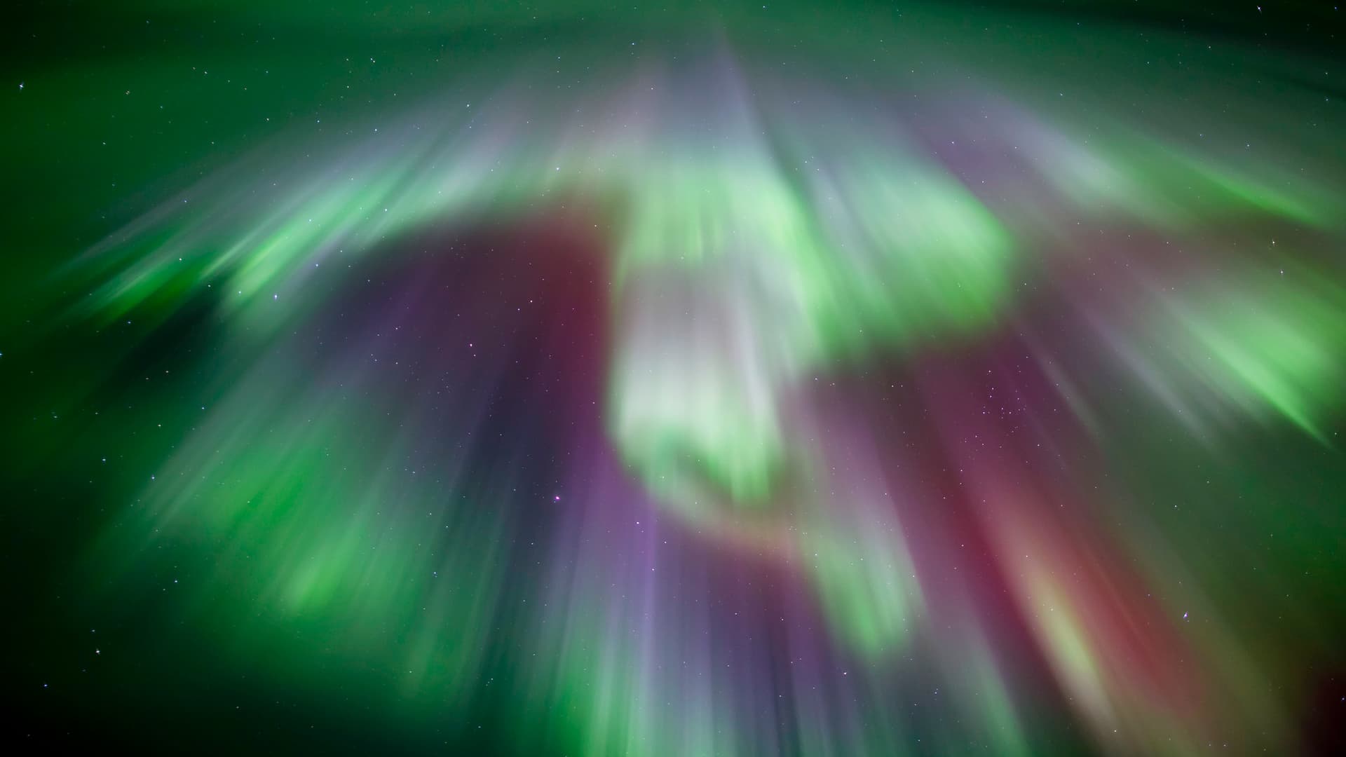 Northern Lights Spark Visible Aurora Over Wake County Skies