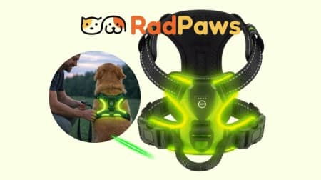 RadPaws Rechargeable LED Harness Promises Better Nighttime Visibility for Dogs
