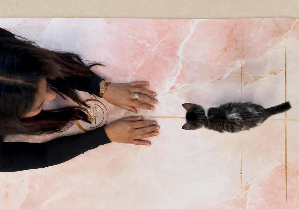 Sold-out puppy and kitten yoga event supports Palm Beach shelter pets