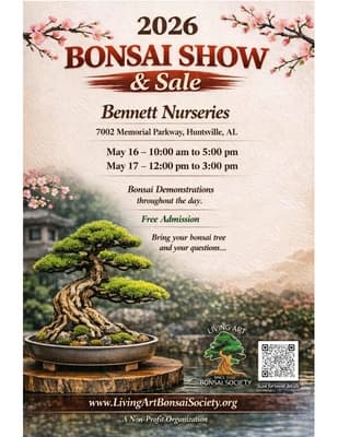 Huntsville bonsai show returns free with People’s Choice vote in May 2026
