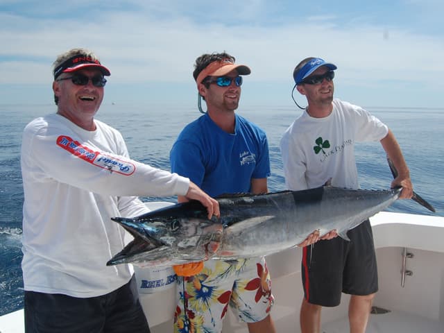 New England canyons turn hot for summer tuna runs