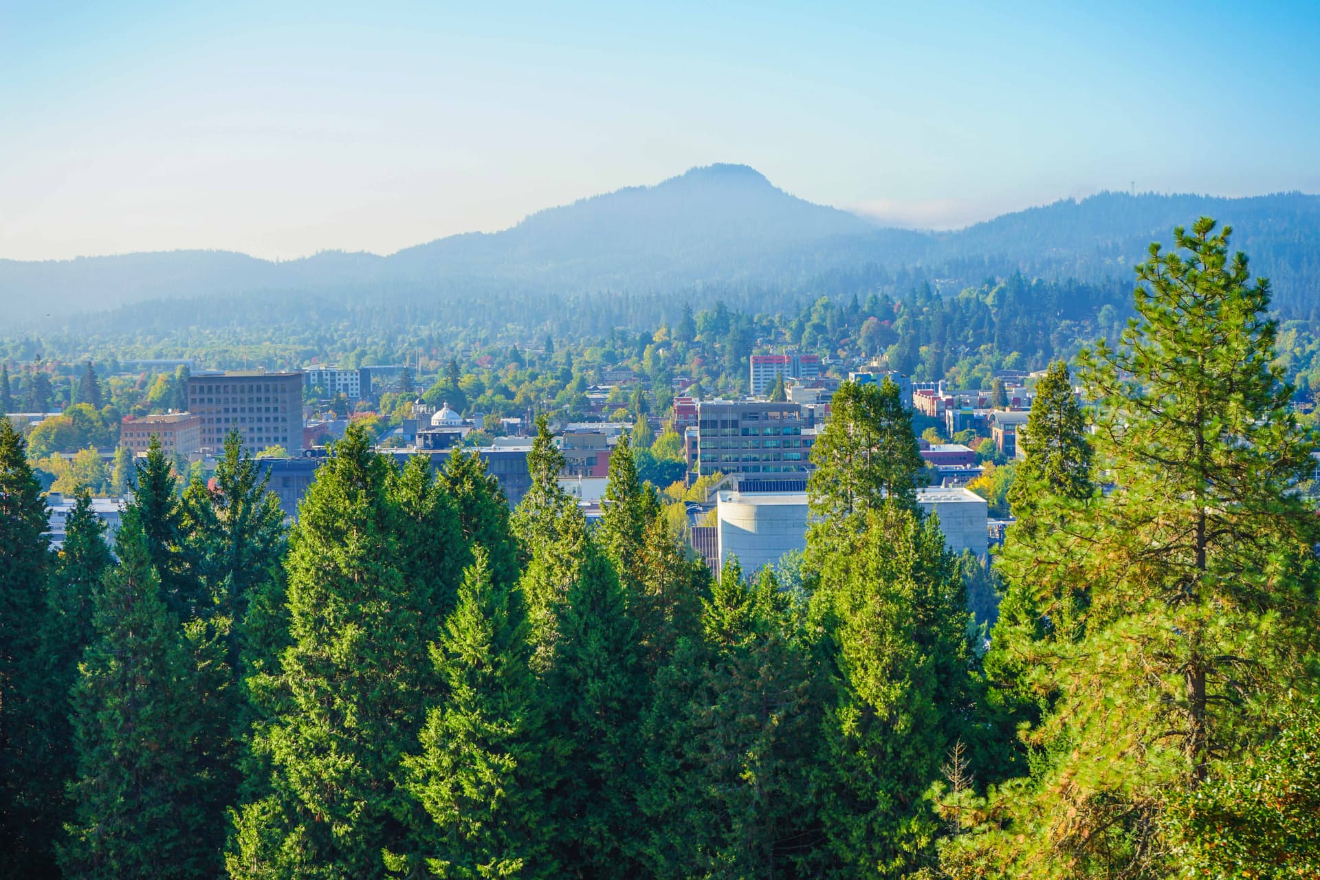 Nine Destinations You Can Fly From Eugene for Under $100 This March
