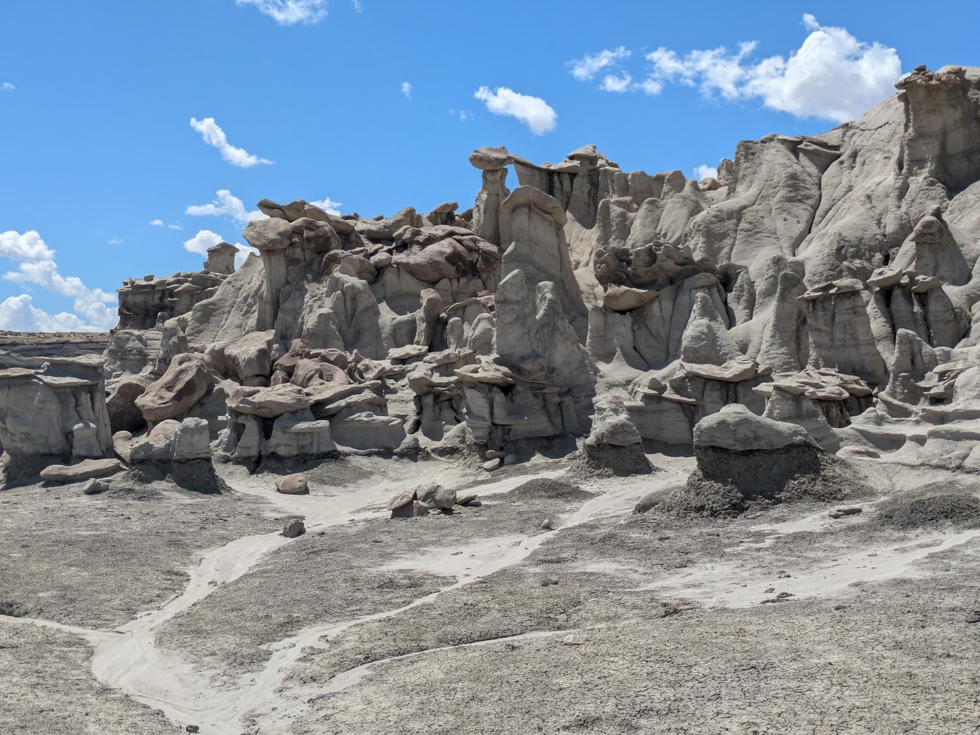 Bisti-De-Na-Zin Wilderness draws visitors with otherworldly badlands and fossils