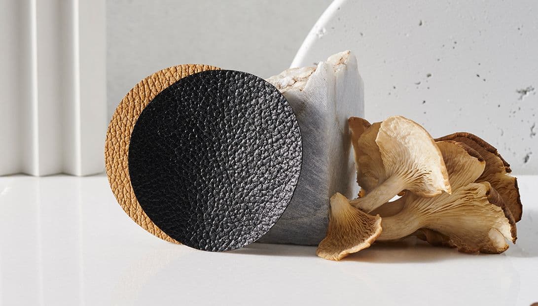 Indonesia's MYCL Transforms Mushroom Mycelium Into Leather for Global Brands