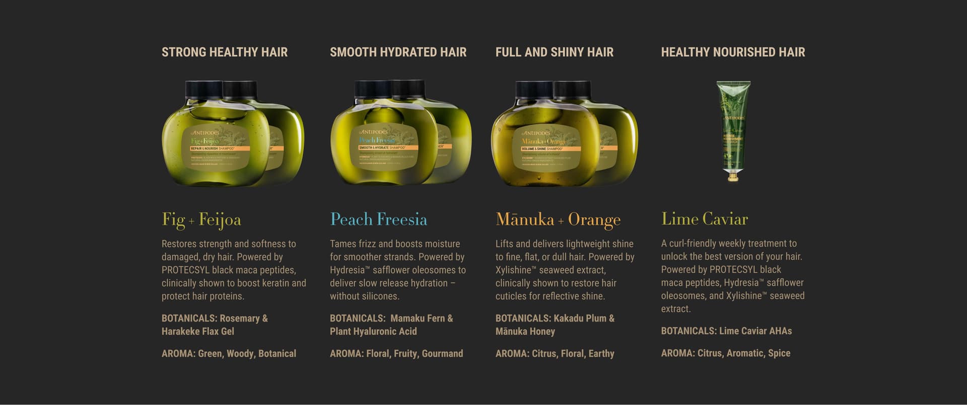 Antipodes Debuts First Haircare Range at Paris Pop-Up Event