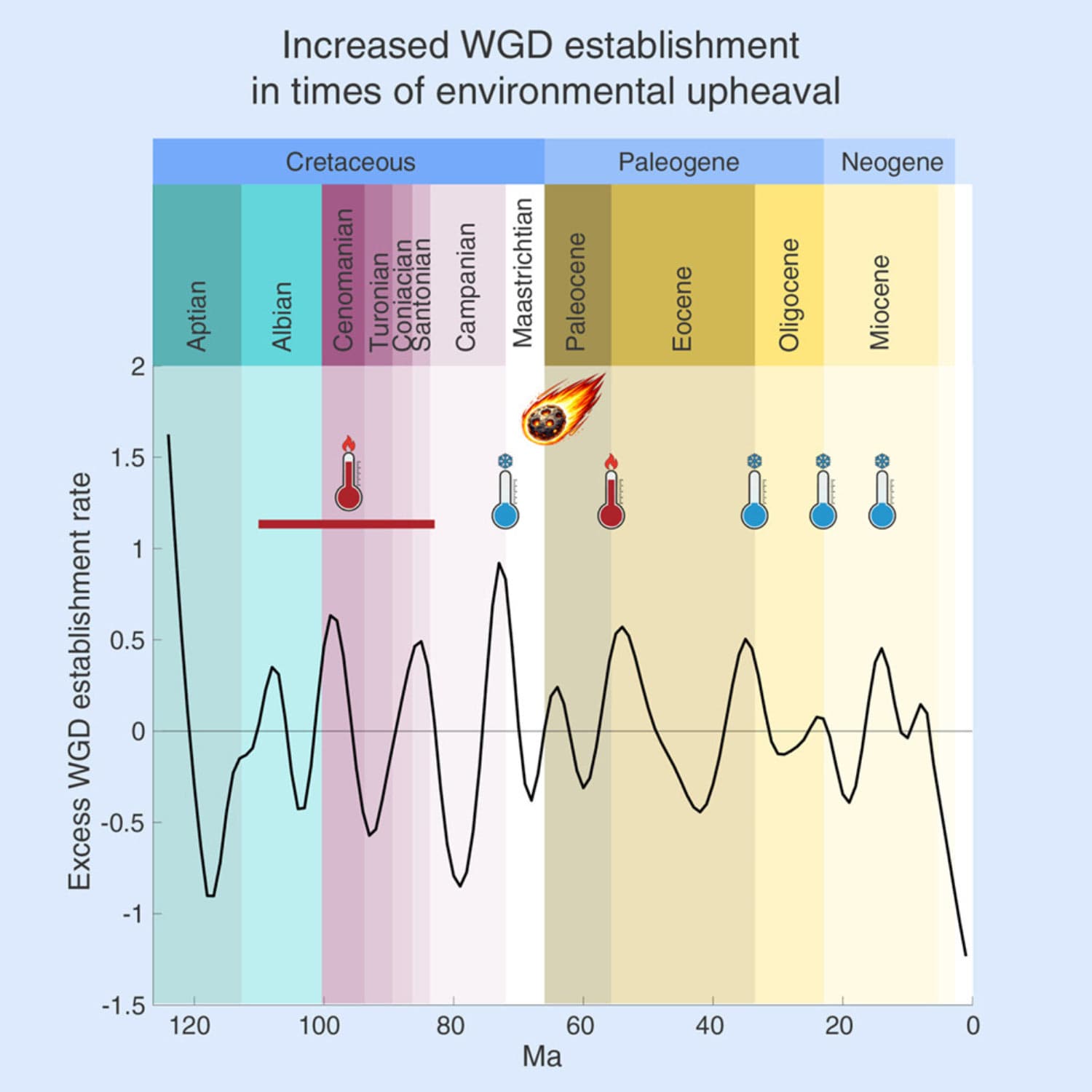 Polyploid plants may have thrived during climate upheavals
