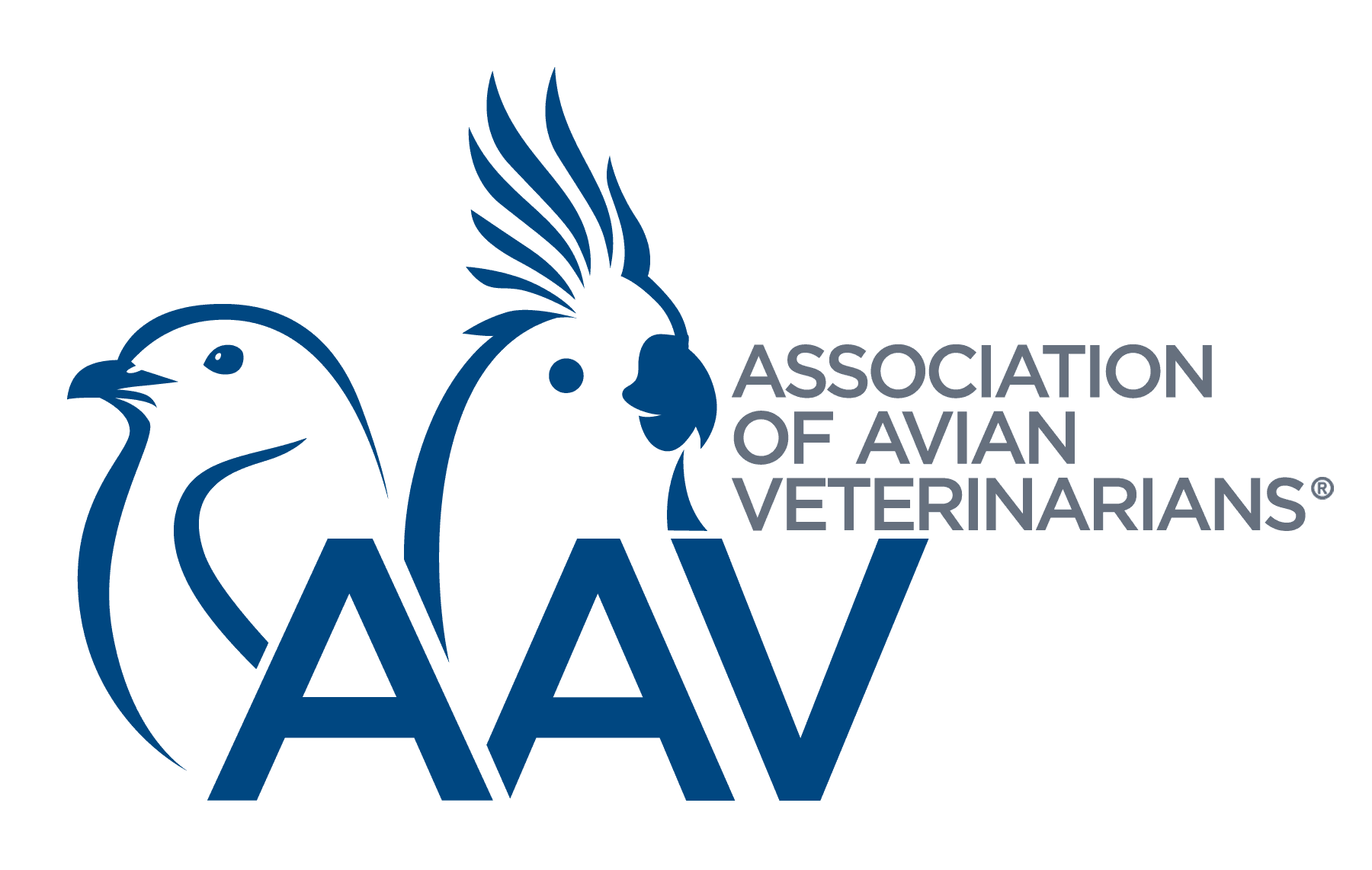 AAV virtual conference expands avian care training worldwide