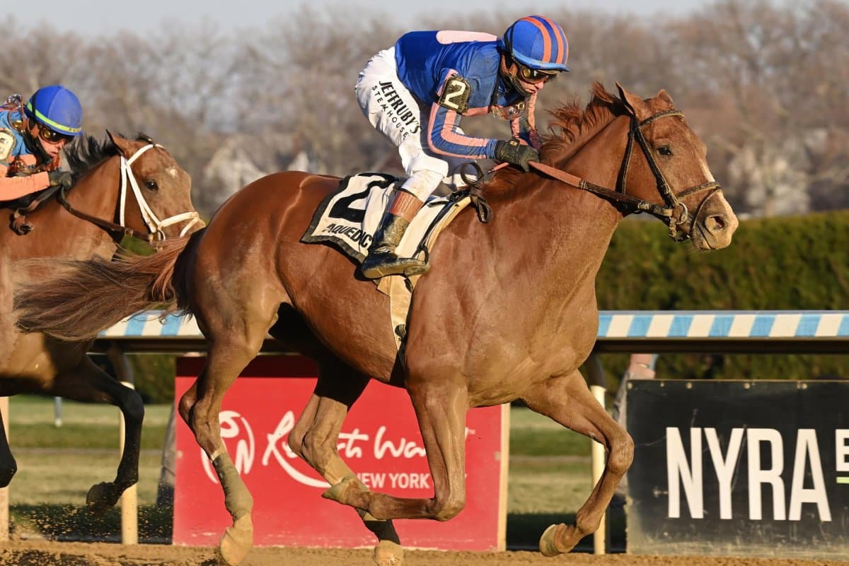 Buetane, Baffert Headline Virginia Derby Kentucky Derby Prep This Weekend