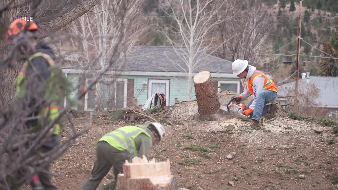 Helena tallies costs from Dec. 17 windstorm; parks, urban forest hardest hit