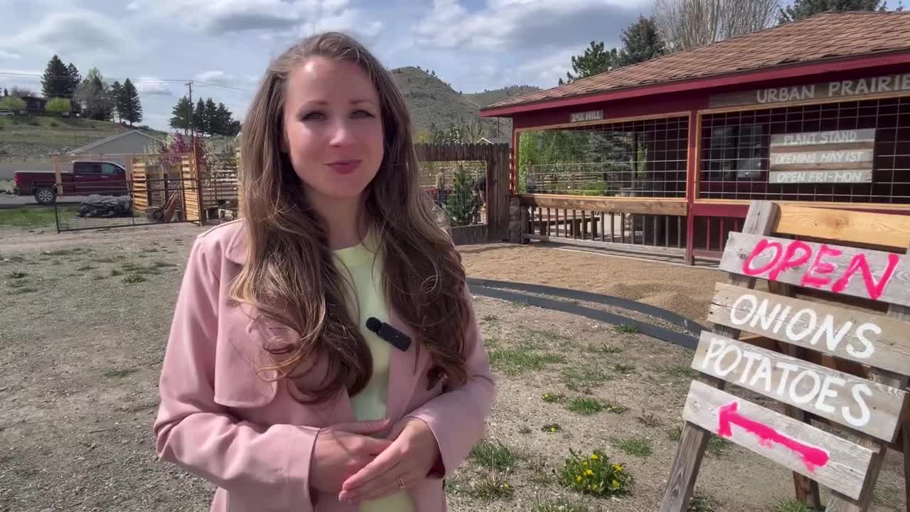 Former Valley Farms site in Helena valley opens as Urban Prairies nursery