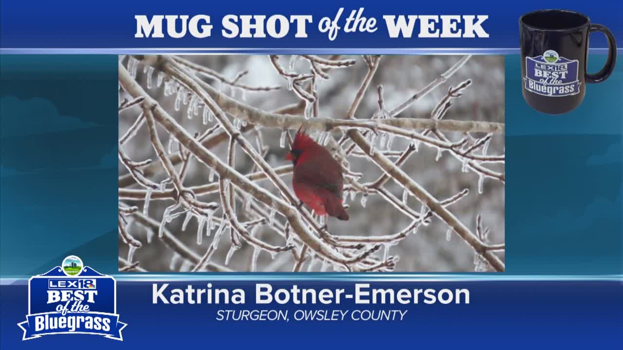 Lex18 Names Botner-Emerson Sturgeon Ice Photo Mug Shot Winner